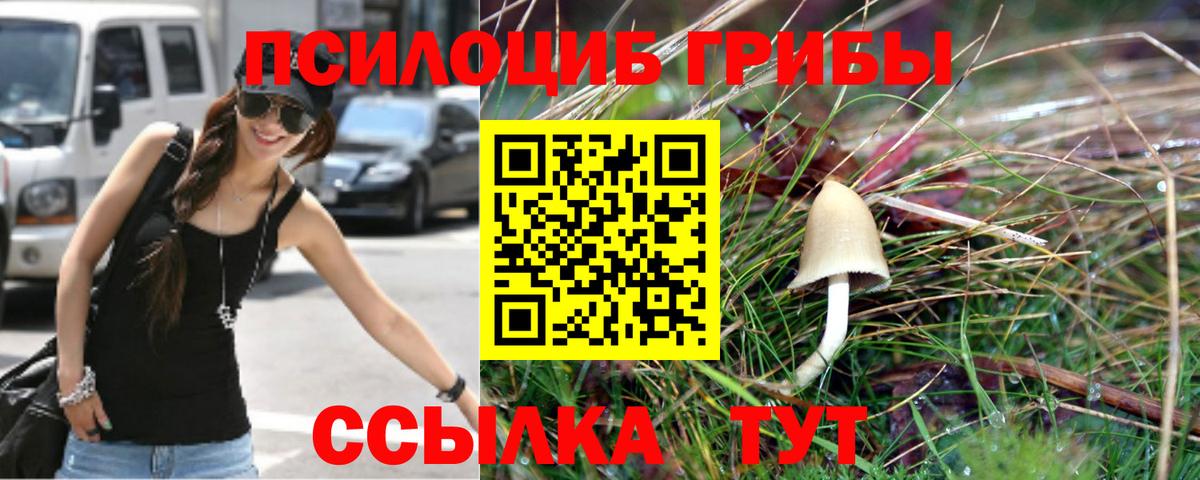 Галлюциногенные грибы Cubensis Керчь